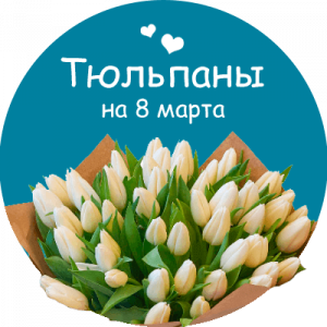 Купить тюльпаны в Губкинском